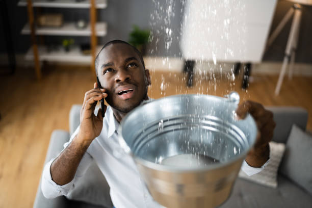 Best Basement water damage restoration  in Burkesville, KY