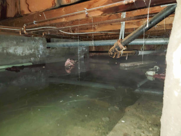 Best Fire Damage Restoration  in Burkesville, KY