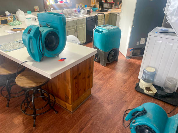 Best Water damage repair service  in Burkesville, KY