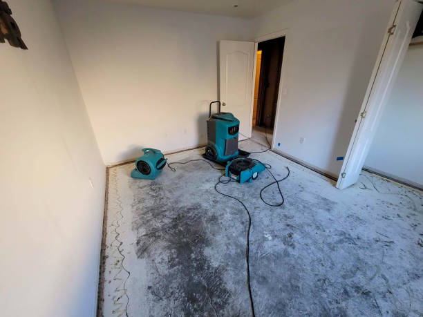 Best Flood restoration services  in Burkesville, KY