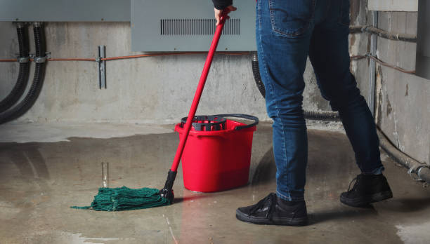 Best Water damage cleanup near me  in Burkesville, KY
