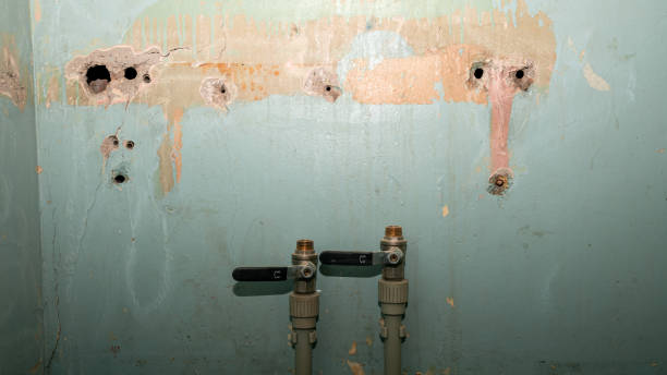 Best Water damage contractors near me  in Burkesville, KY