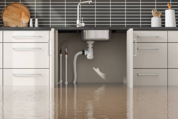 Best Water damage mitigation services  in Burkesville, KY