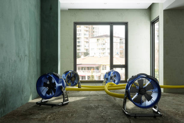 Best Water damage restoration near me  in Burkesville, KY