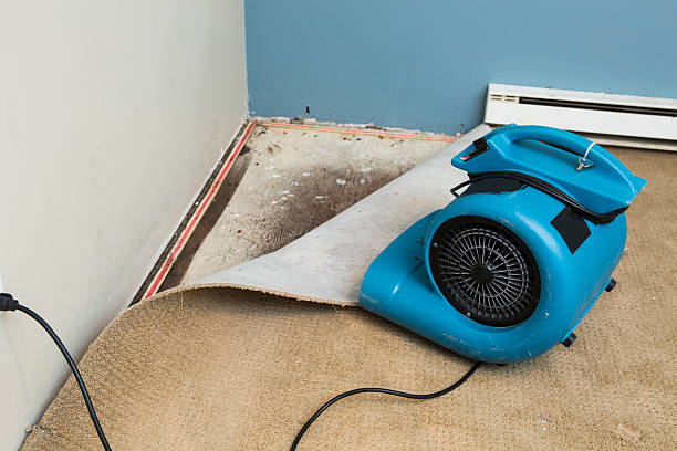Best Water damage restoration near me  in Burkesville, KY